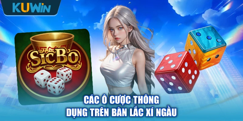 Các ô cược thông dụng trên bàn lắc xí ngầu
