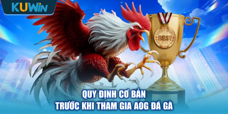 Quy định cơ bản trước khi tham gia AOG đá gà